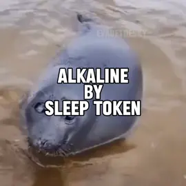 alkaline by sleep token seal music video for @Wolf  #seal #sealtok #sleeptoken #alkaline #sleeptokenband 