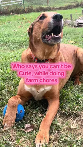 #boots #rainboots #mudboots #farmlife #rubberboots 
