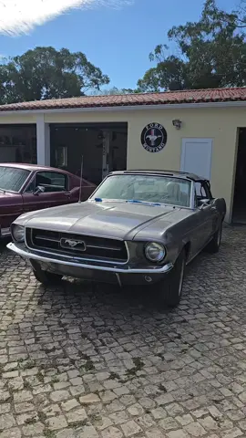 🔥🚘 Hoje vamos partilhar a paixão que os amigos dos Mustang têm pelo que fazem. É incrível a dedicação do Nelson e do António. 🙏 Obrigado por partilharem connosco a vossa paixão! #PartilhaATuaPaixao #Mustang #MustangLovers #CarrosClassicos #ClassicosPortugal #AutoClassicos #VintageCars #MuscleCar #FordMustang #PaixaoSobreRodas #CarrosDeSonho 