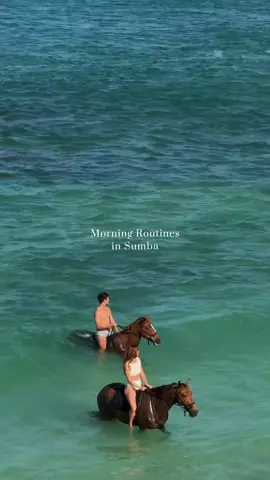 Let us show you the morning routines in Sumba.  From riding the horses to slow island rituals — this is how the day begins on the Edge of Wildness.  #Sumba #MorningRoutine #IslandLife #TravelVlog #IndonesiaTrip      