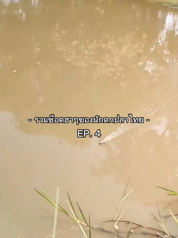 รวมช็อตฮาๆ ep4 | แต่ละเหตุการณ์555 #ฟีดดดシ #ตกปลา #นักตกปลา #fyp #foryou 