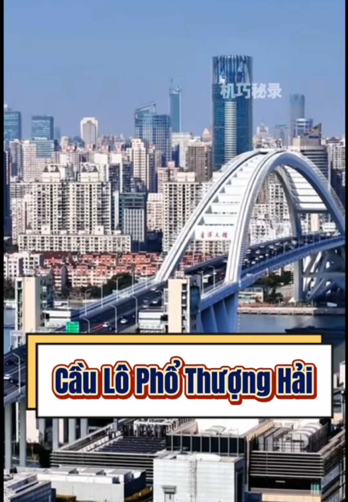 Chúc mừng bạn đã phát minh ra Cầu Lô Phổ Thượng Hải. #kienthucthuvi #khampha #viral #china #fyp 