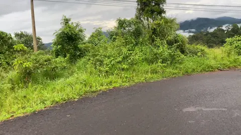 Sao cân mưa trời ko nắng #chillchill #fyp #sơndiendilinh 