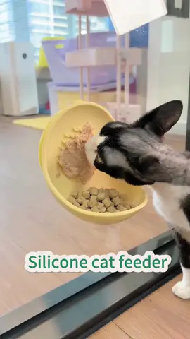 🌟 Elevate Mealtime with the Space-Saving Suction Bowl! 🐾🍽️ Say goodbye to messy floors and crowded feeding areas! This versatile silicone suction bowl sticks securely to smooth surfaces, stays put during mealtime, and makes cleaning a breeze. ✨ Why It’s a Must-Have: · Strong 12cm Suction Base: Prevents spills and tipping – even with enthusiastic eaters! 🚫🔄 · Dual Food & Water Use: Perfect for kibble, wet food, or hydration needs 💧 · Wide, Whisker-Friendly Design: No more “whisker fatigue” during meals! 🐱 · Hang or Place Freely: Works on tiles, glass, or floors – and even fits under robot vacuums! 🤖 🏡 Pawfect For: • Small spaces where every inch counts 📏 • Multi-pet households needing organized feeding zones 🐾🐾 • Travel, balconies, or easy outdoor setups 🧳 #PetBowl #SuctionFeeder #SpaceSaver #WhiskerFriendly #CleanHomeGoals 👉 Swipe to see how it sticks, holds, and simplifies your routine! Tag a pet parent who’s tired of cleaning up after mealtime! 🧼💛