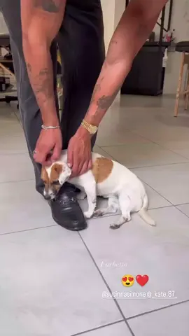 Story @susinnasimone  @_kate.87_ 