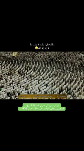#سورة_آل_عمران #ماهرالمعيقلي #fyp #qrain #المسجدالحرام 