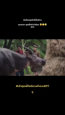 #เจ้าคุณพี่กับอีนางคําดวงep7 #MySassyWedding #เจมส์จิรายุ #เบลล่าราณี 