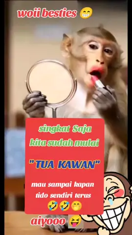 slmt mlm semua Shbt kesayangan IshA 🥰 JOm layan ☕☕  #fypシ゚viral🖤video  #fypシ゚viral🖤 