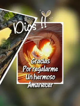 #CapCut #paratiiiiiiiiiiiiiiiiiiiiiiiiiiiiiii #frasesmotivadoras #buenosdias #frasesdeamor 
