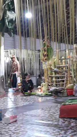 Belien Nempuk Kelelungan #fyppppppppppppppppppppppp #belian #kalimantantimur #dayakbenuaq 