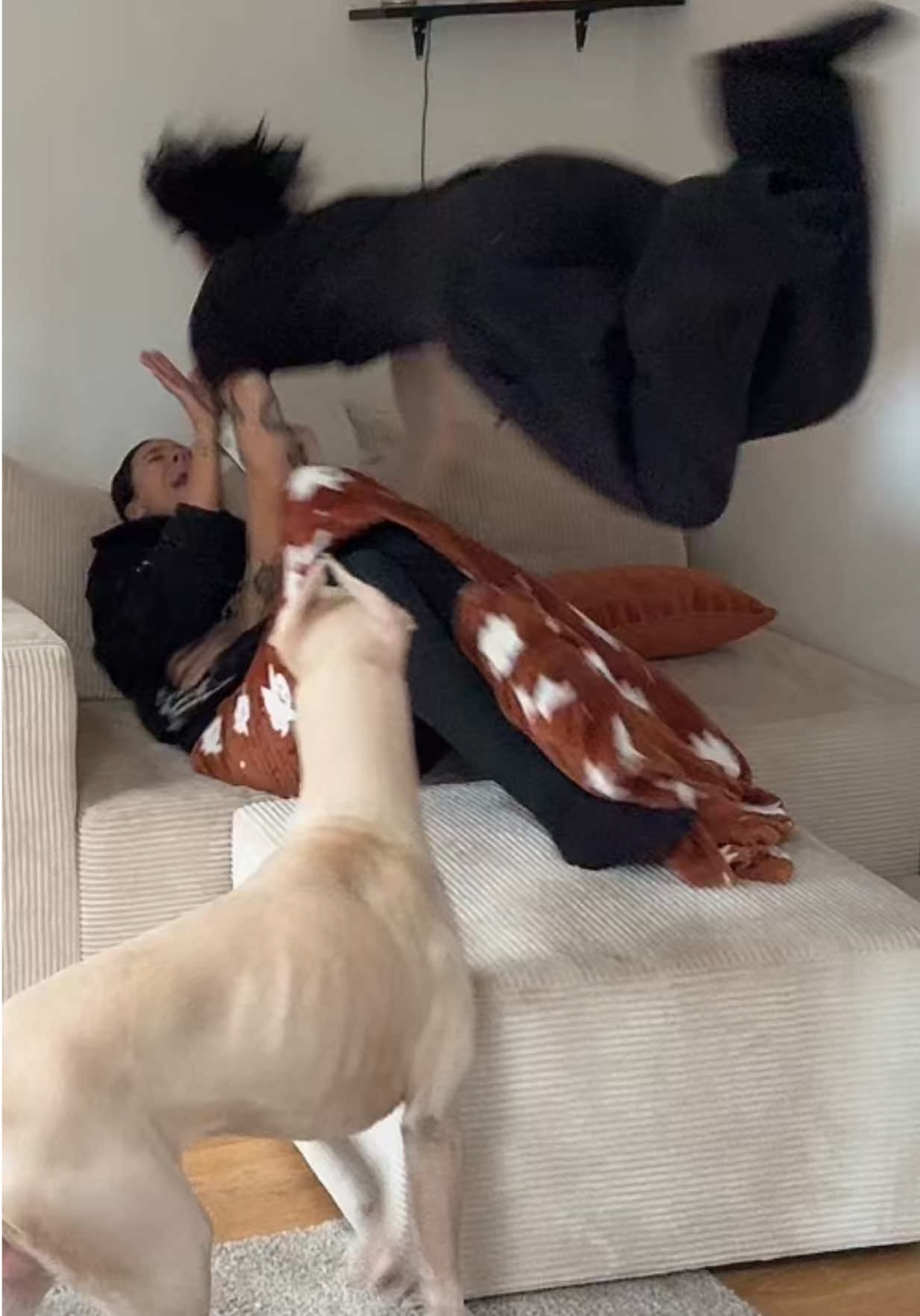 Je crois qu’elle a pas aimé hein 😂❤️ @babyana.k 