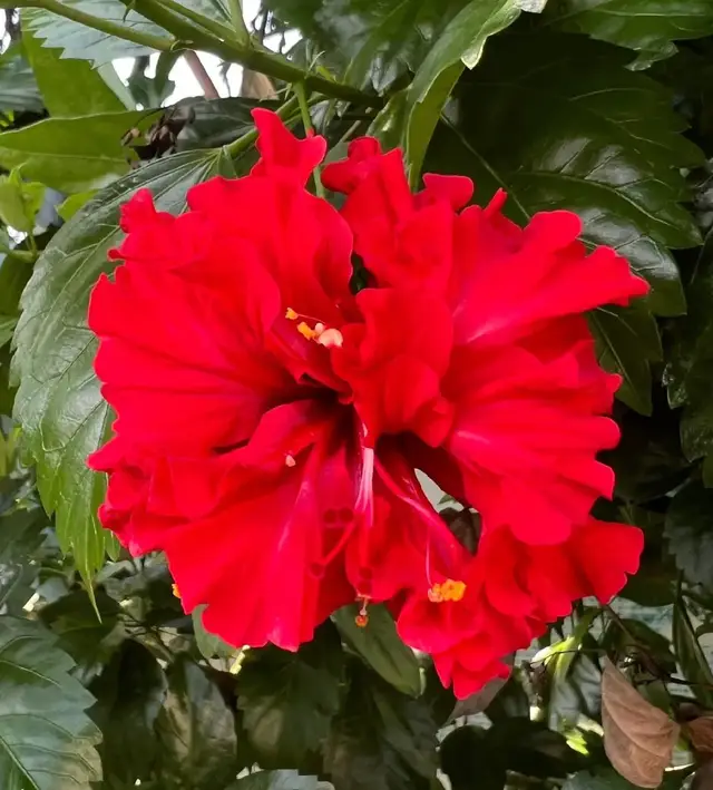 #nhacbolero#cuocsong#buon 