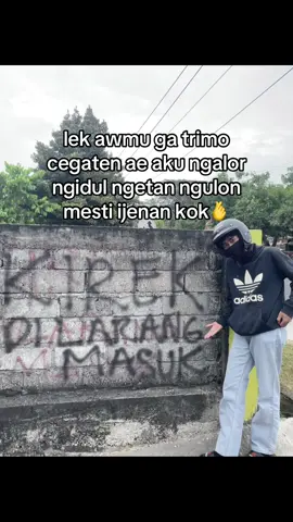 ampun dikerasi nggeh kang #antikirek #fyp 