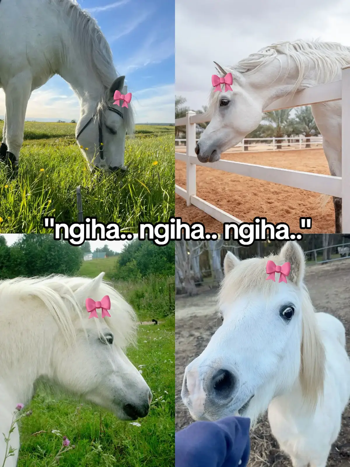 #ngihaa #ngiha.. #ngihangiha