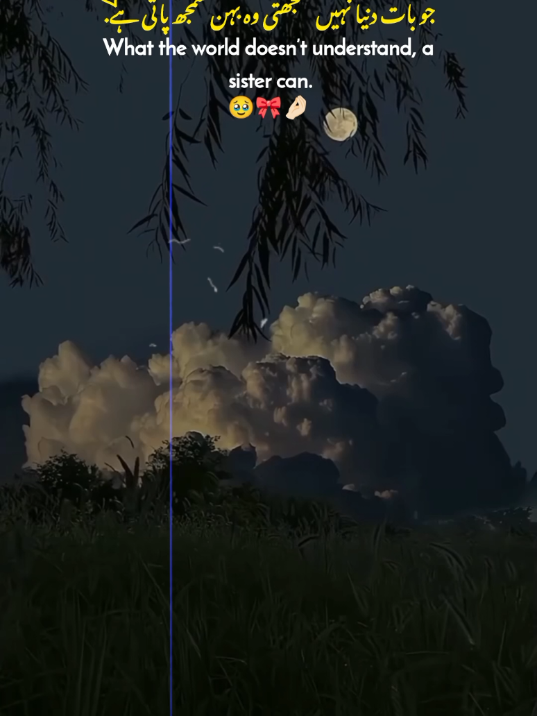 Mention your sister 🙂🤌🏻❤️ | | 150k 🥹🙌🏻❤️ | | ❤️ | | sister_video_status | | i have no sister 😭🥹✨ #sister #plzunfrezemyaccount #dontunderreviewmyvideotiktok #tiktokteamviralmyvideo #foryoupage @TikTok @TikTok Pakistan 