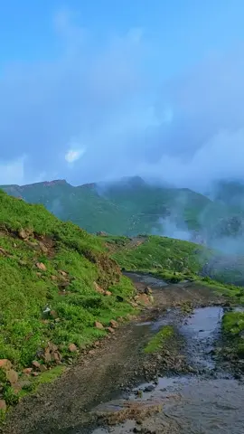 #CapCut #متابعین 