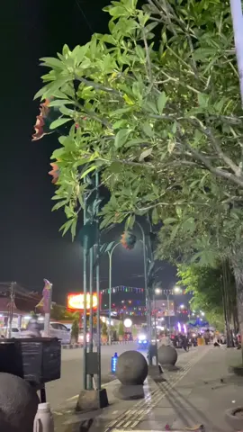 apa yang buat kamu ingat sama jambi? #sipinjambi #fyp #malam 