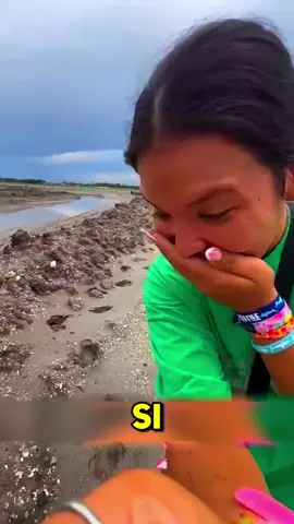 #rexoarmy #datoraro #rexo 