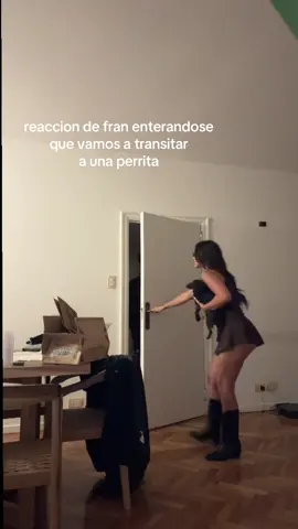 les dejo la reaccion de fran enterandose de que vamos a transitar a una perrita😂😂 ayer en comentarios que dijeron el nombre “brandy” y me gustó, que opinan?