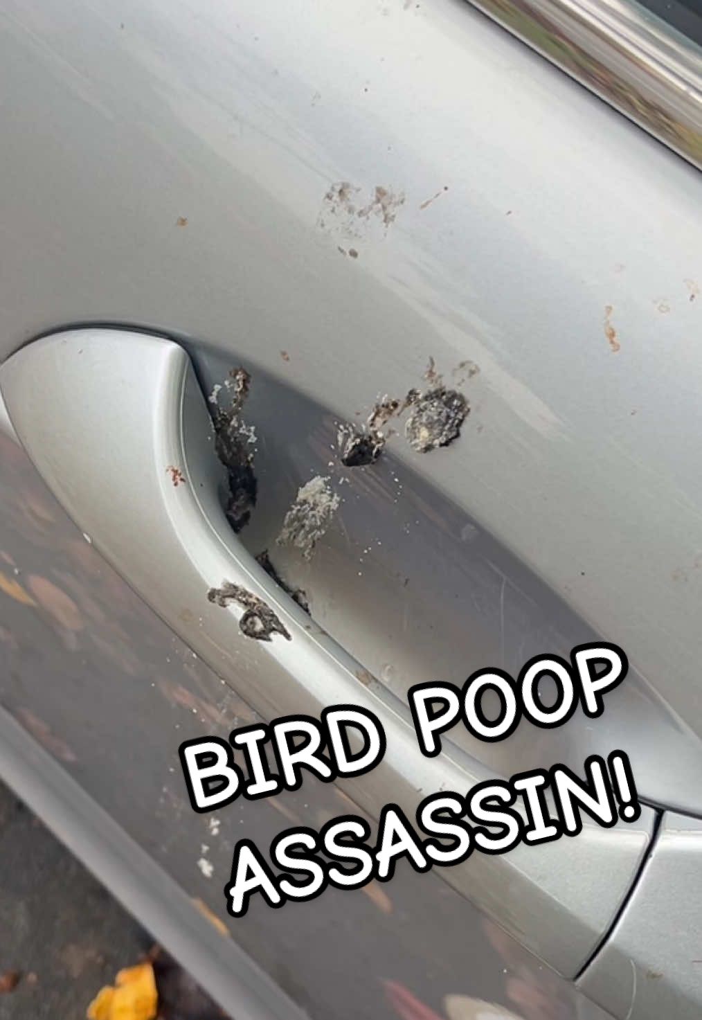 Bird poo poo #poop #fart #birdpoop #highaltitudehitman