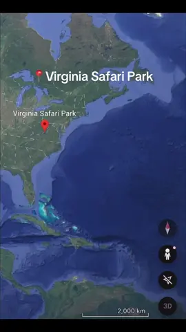Did you know that Virginia has a hidden Safari Park? Well now you do!😨🐯🦘 #virginiasafaripark #safaripark #visitvirginia #vaoutdoors #wanderloveva #virginia #virginiaisforlovers #loveva #blueridgemountains #naturalbridge #vasafaripark #visitvasafaripark #visitvirginiasafaripark #virginialife #visitthevirginiasafaripark