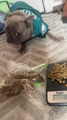 MY DOGS BEEN TAPPING THE WORK 🤣  #funny #viral #fyp #dog 