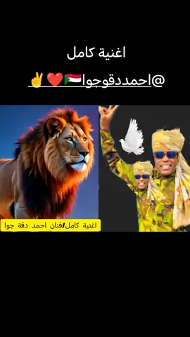 جديد حصرى