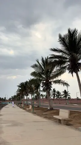 جو ينبع اليوم ☔️ 🌧️  #اكسبلور #ترند #السعودية #تصويري #ينبعاويات_الفن_الاصيل💤 #الهيئة_الملكية #ينبع #امطار 