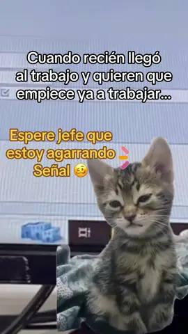 #trabajo #oficina #humor #risas #viraltiktok 