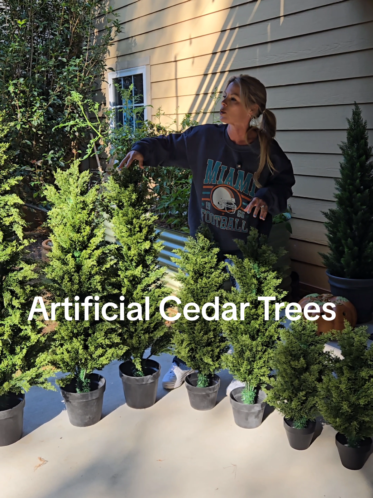 These Artificial Cedar Trees come in a two pack and also in various heights! they are real feel and even close up they do not look artificial! They are absolutely beautiful! 