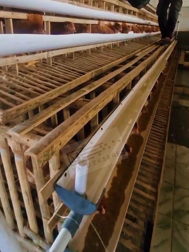 Komitmen Realisasi Ketahanan Pangan, Pemdes Cikole Sumedang Kembangkan Usaha Ayam Petelur #Sumedang – Pemerintah Desa Cikole, Kecamatan Cimalaka, Sumedang, menunjukkan komitmennya dalam merealisasikan program ketahanan pangan dengan mengembangkan usaha ayam petelur melalui Badan Usaha Milik Desa (Bumdes) Sukalerangputra. Untuk mendukung program ini, Pemdes Cikole mengalokasikan sekitar Rp200 juta dari Dana Desa (DD) 2025 sesuai regulasi Kementerian Desa PDTT. 