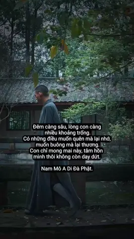 Nam mô a di đà phật  #phatphapnhiemmau  #xuhuong  #tamtrang  #phatphap 