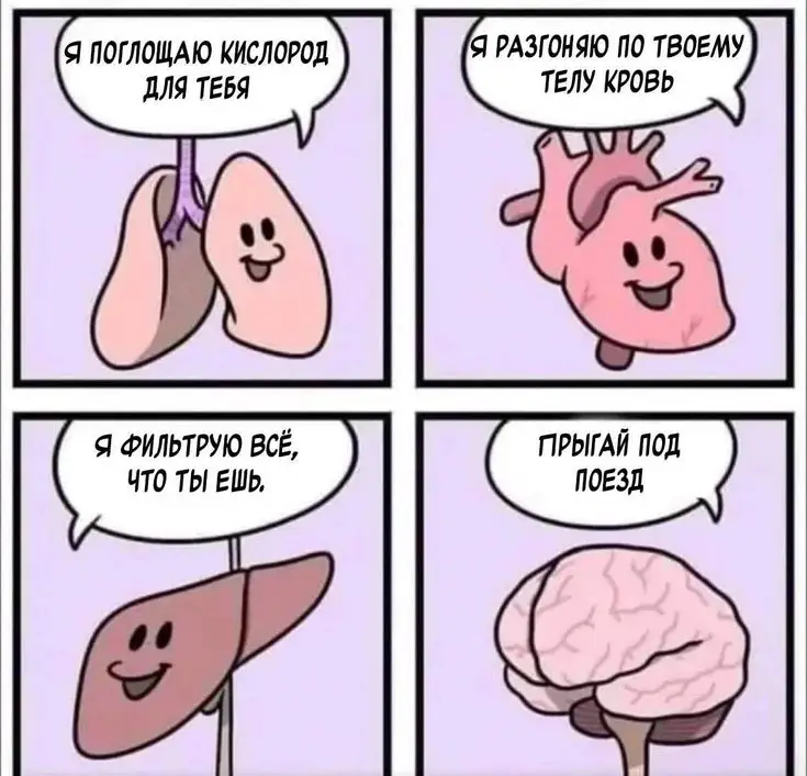 1. Сердце создаёт давление, которое может брызнуть кровью на 9 метров. ❤️ Оно качает кровь с такой силой, что при разрыве артерии струя может достигать большого расстояния. 2. Кости прочнее стали. 🦴 По прочности на сжатие человеческая кость примерно в 4 раза крепче бетона. 3. В желудке новая слизь каждые 3–4 дня. 🍲 Иначе собственная кислота разъела бы его стенки. 4. У человека примерно 60 000 миль кровеносных сосудов. 🩸 Если вытянуть их в линию, можно обернуть Землю более чем два раза. 5. Мозг потребляет 20% всей энергии тела. 🧠⚡ Хотя весит всего около 2% от массы тела. #lol #мемчик #мемы #fyp #рекомендации 