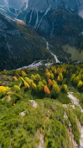 Gửi những bạn trẻ đang cố gắng mỗi ngày.#motivation #donglucmoingay✨ #quytacsong 