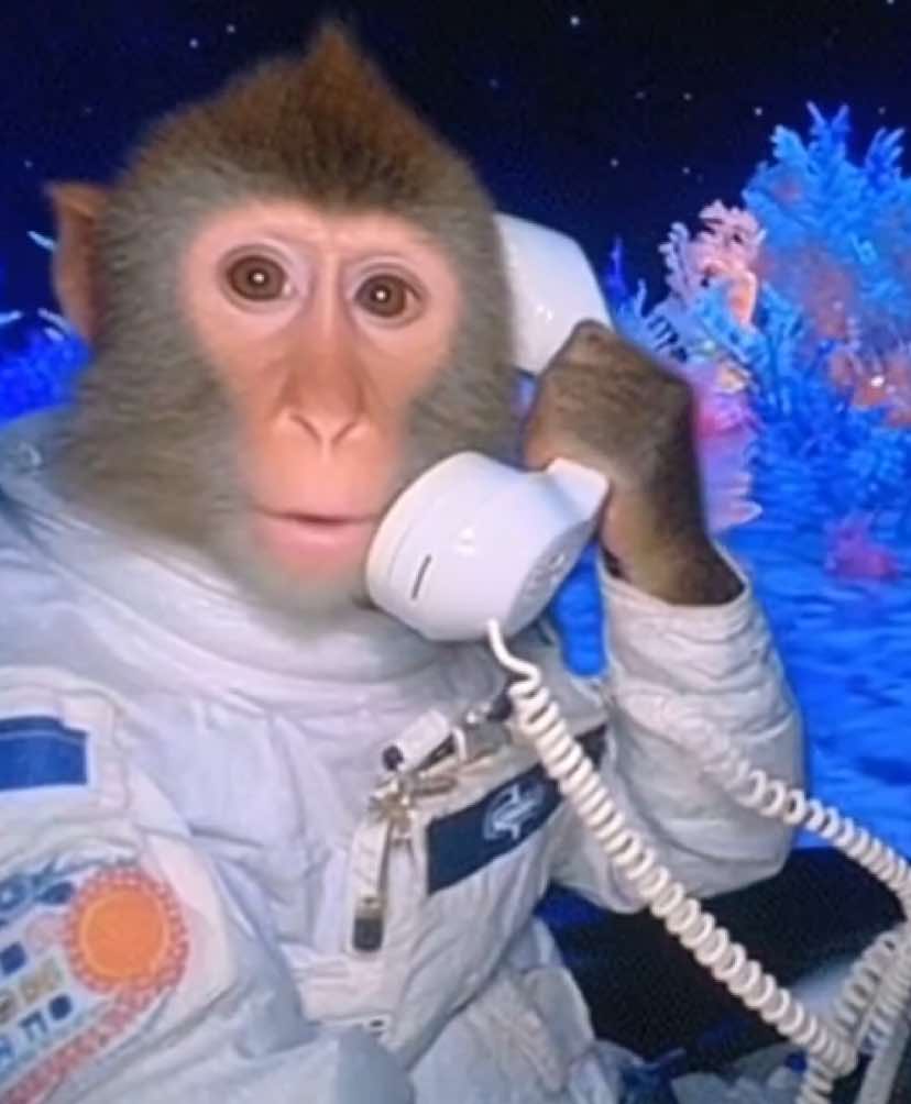 monkey calling 📞  #surrealism #surreal #fyp #monkey #space 