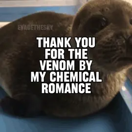 thank you for the venom by my chemical romance seal music video for @cement eater  #seal #sealtok #thankyouforthevenom #mcr #mychemicalromance 