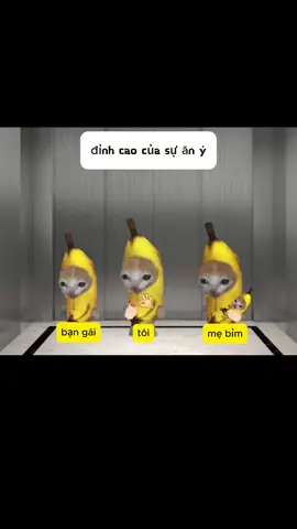 nghẹo rất tình cảm  #meme #cat #xh #fyp #catsoftiktok 