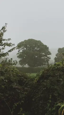 Rainy days in Wales 🍃 🌧️ // #fyp #Wales 