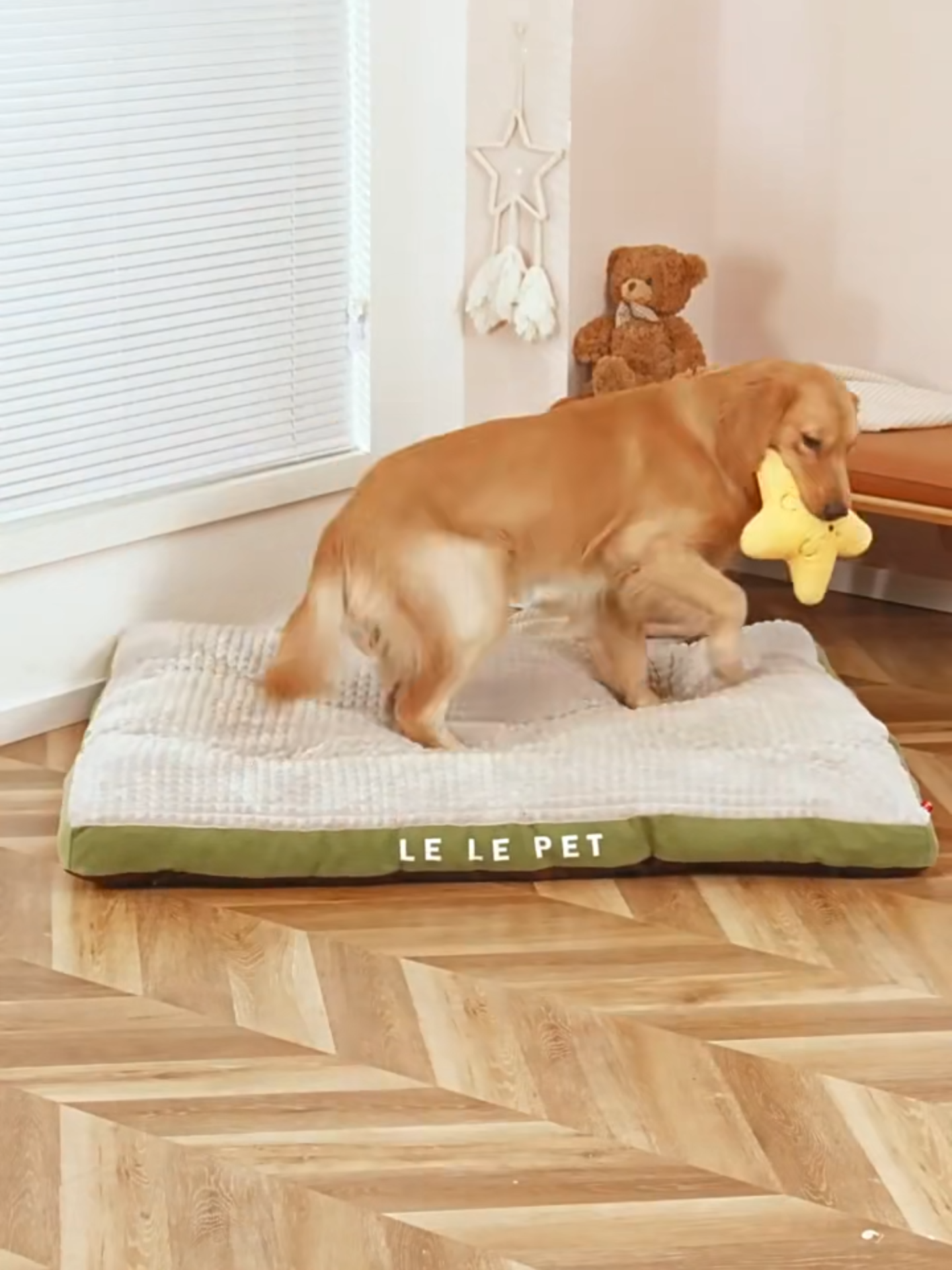 Kasur Tempat Tidur Anjing Kucing Matras Hangat Selimut Hewan Empuk | adiashub.com . @adiashub . #TempatTidurAnjing #TempatTidurKucing #kasuranjing #kasurkucing #dogbeds  #catbed  #perlengkapankucing  #petshop #pecintahewan #pecintahewan