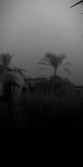 لازم تفهم 😥💔#تصميم_عبقرينو #تصميم_فيديوهات🎶🎤🎬 #في_حد_كدا_عايز_اقولو♥️ #الشعب_الصيني_ماله_حل😂😂 #الشعب_الصيني_ماله_حل😂😂 