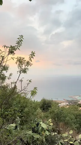 #najwakaram #نجوى_كرم👏👏 #ضيعتنا_أحلا #lebanon🇱🇧 #explore #fyppppppppppppppppppppppp #fypシ @Najwa Karam @safasayed 