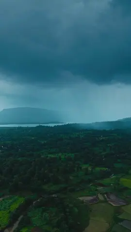 #aesthetic #nature #relax #moody #foryou 