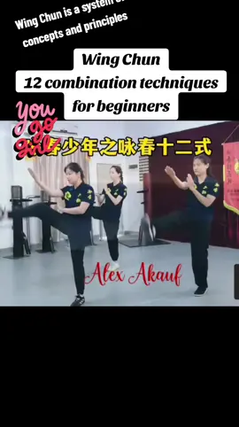 Wing Chun 12 combination techniques for beginners #wingchun #vingtsun #wingtsun #wingchungirl #wingchun12handstraining 