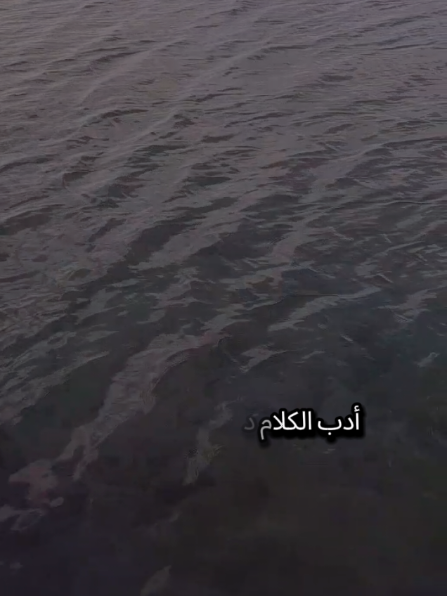 ادب الكلام دليل عقلك يافتى فأنظر كلامك انه الميزان من لم يزده العلم حسن تصرف ذلك امرؤ في عقله نقصان #تركيا #اسطنبول #شعروقصايد #اللهم_صلي_على_نبينا_محمد #الغربة 