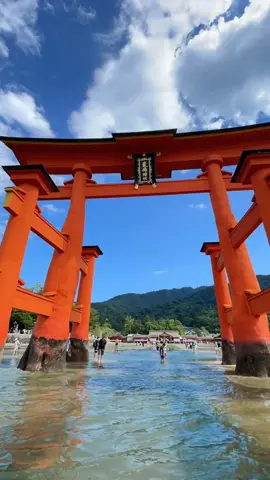 ⛩️ Đền Itsukushima – biểu tượng linh thiêng giữa biển Nhật Bản 🌊 Nằm trên đảo Miyajima (Hiroshima), Đền Itsukushima gây ấn tượng với cổng torii đỏ khổng lồ dường như “nổi” giữa biển khi thủy triều lên. Khi nước rút, du khách có thể đi bộ ra gần cổng, ngắm kiến trúc gỗ tinh xảo có tuổi đời hơn 800 năm. Trên đảo còn có những chú hươu thân thiện và phong cảnh bốn mùa thay đổi tuyệt đẹp: xuân anh đào, hè xanh thẳm, thu lá đỏ, đông tuyết phủ. Đến Hiroshima mà chưa ghé Đền Itsukushima coi như bỏ lỡ một “must-go” không thể thiếu khi đến Nhật Bản 🇯🇵✨  #KhamphaNhatBan#JapanEasyGo#Travel#Hiroshima#Itsukushima