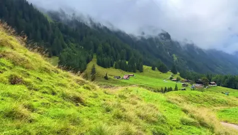 Nature vibe…  #vibe #nature #141 #fyp 