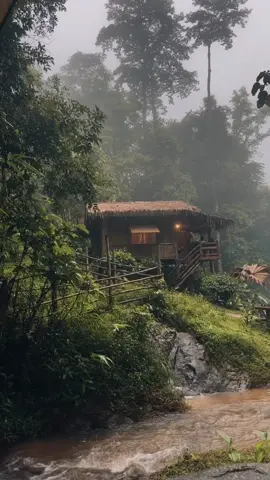 กระท่อมกล่งป่า#ที่พักเชียงดาว #สวนฉันโฮมสเตย์เชียงดาว #อุ้ยคำ #เทรนด์วันนี้ 