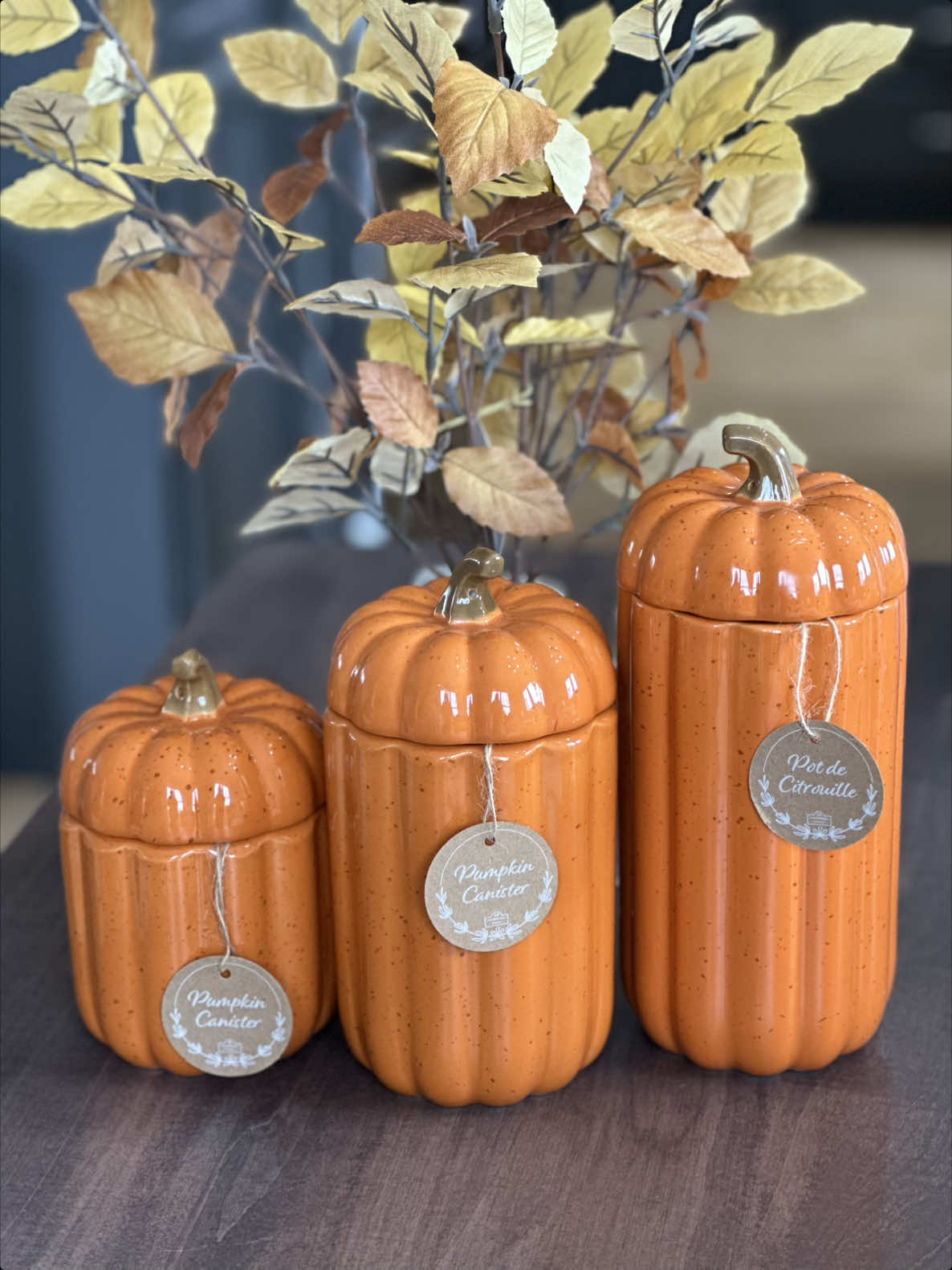 The most perfect fall decor for your kitchen!  The 2 piece pumpkin canister set is going to look so good on your counter!#falldecor #kitchendecor #tiktokshopcreatorpicks #canister #pumpkin #pumpkindecor @QVC, Inc 