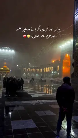 Haye wo shehr e Mashhad or Haram e Imam Razaد😭❤️‍🩹 #mashhad #imamraza #fypviraltiktok🖤シ゚☆♡ #viralvideo #bismillahfyp 