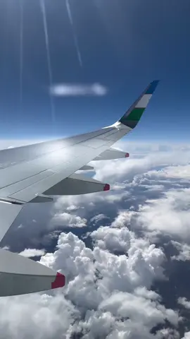 Мурожат учун тел: 🇷🇺Россия: +7(901)345-53-77 Watsap ✅✅✅✅✅✅✅✅ 📌Билетлар накд пул ёки пул утказиш йули билан сотиб олинса булади МУРОЖАТ УЧУН:  📞   +7901 345-53-77 https://t.me/AVIATREND1#most 